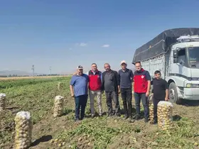Dinar’da patates hasadı başladı
