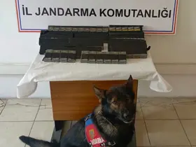 Diyadin’de 180 paket kaçak sigara yakalandı
