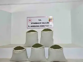 Diyarbakır’da 14 bin kök kenevir, 129 kilo esrar ele geçirildi
