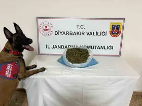 Diyarbakır’da 23 kilo esrar ele geçirildi
