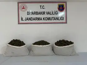 Diyarbakır’da 253 bin kök kenevir ve 42 kilo esrar ele geçirildi
