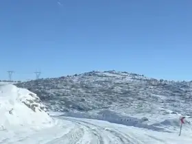 Diyarbakır’da aç kalan kurt ve domuz sürüsü yerleşim yerine indi
