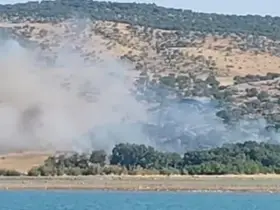 Diyarbakır’da ağaçlık alanda yangın
