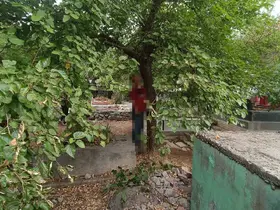 Diyarbakır’da bir kişi, mezarlıkta ağaca asılı halde ölü bulundu
