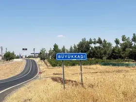 Diyarbakır’da kedinin ısırdığı çocuk entübe edildi, testlerde kuduz çıktı
