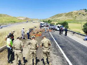 Diyarbakır’da sebze yüklü kamyonetin tekeri patladı: Kasadan savrulan ürünler yolu trafiğe kapattı

