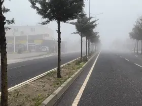 Diyarbakır’da sis etkili oldu
