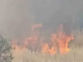Diyarbakır’da yerleşim alanında çıkan yangın paniğe neden oldu
