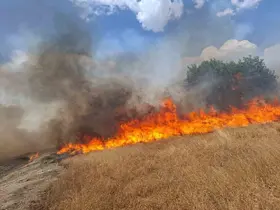 Diyarbakır’ın beş ilçesinde yangın
