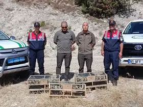 DKMP ekipleri izinsiz yakalanan şaka kuşu ele geçirdi
