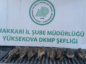 DKMP ekipleri kaçak keklik avlayan şahsa cezai işlem uyguladı
