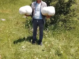 Doğada 20 kiloluk mantar buldu
