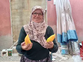 Doğal şifa kaynağı kudret narı, tezgahları süslemeye başladı
