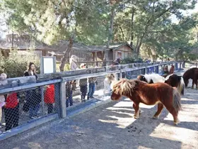 Doğal Yaşam Parkı’nda çocuklara hayvan ve doğa sevgisi aşılanıyor
