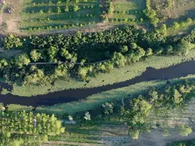 Doğanın kalbi Sakarya’da attı: İki yeşil noktaya 605 bin ziyaretçi
