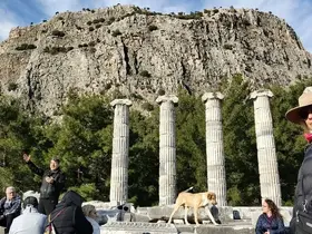 Doğaseverler, Anadolu’nun Pompeisi Priene Antik Kenti’ne dikkat çekti
