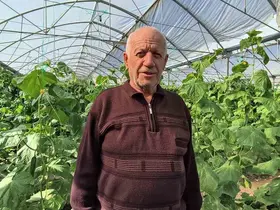 Doğu Anadolu’nun en büyük serasında üretim aralıksız sürüyor
