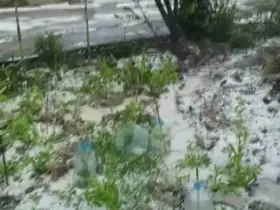 Dolu yağışı beyaza bürüdü
