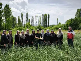 Domaniç Sarımsağı coğrafi işaret yolunda
