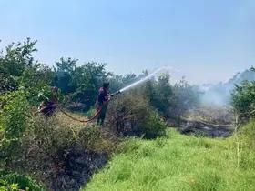 Dörtyol’da bahçe yangını
