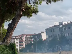 Düğün konvoyundan atılan havai fişek çam ağacını yaktı
