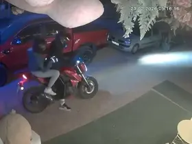 Dükkanın önündeki oyuncak ayıyı çaldılar

