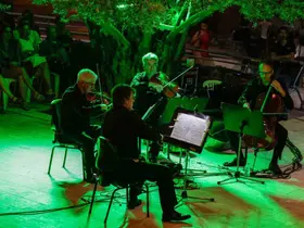 Dünyaca ünlü Macar gruptan unutulmaz gece

