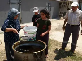 Dut bolluğu pekmez üretimini artırdı
