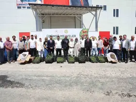 Düzce çiftçisine fide ve damla sulama sistemi desteği
