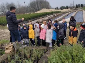 Düzce’ de minik eller büyük ormanlar oluşturmak için çalıştı
