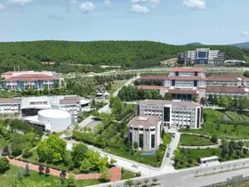 Düzce Üniversitesi matematik alanında Türkiye’nin zirvesinde
