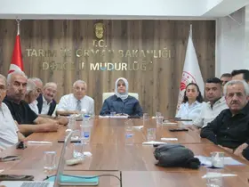 Düzce’de fındık rekolte tahmin çalışmaları değerlendirildi
