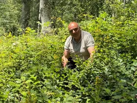 Düzce’de ormanlarda gençlik bakım çalışmaları sürüyor
