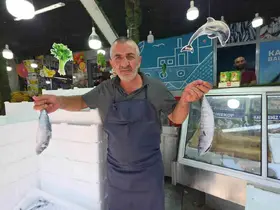 Düzce’de palamut tezgaha indi, vatandaş sıraya girdi
