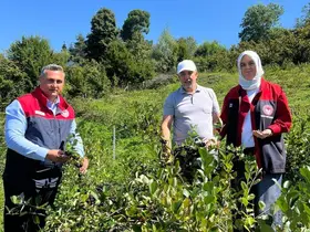 Düzce’de üretiminde yeni hedef katma değerli ürünler
