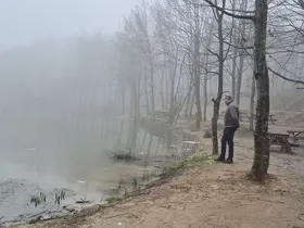 Düzce’de yasaklı avcılığa takip
