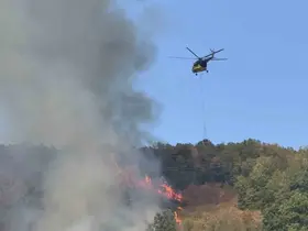 Düzce’deki orman yangınına helikopter ve 20 araçla müdahale sürüyor

