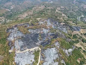 Düzce’deki yangının boyutu havadan görüntülendi
