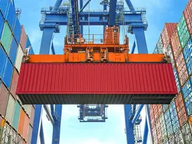 Düzce’den 4 bin 135 ton orman ürünü ihraç edildi
