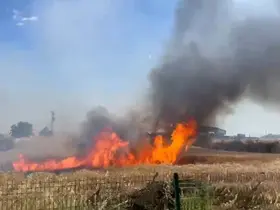 Edirne’de buğday tarlasında çıkan yangın söndürüldü
