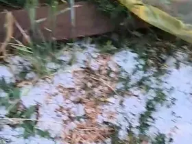 Edirne’de dolu yağışı etkili oldu
