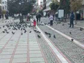 Edirne’de dondurucu soğuk: Edirneliler evde, Bulgarlar mağazalarda
