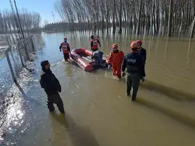 Edirne’de koyunlar botlarla kurtarıldı
