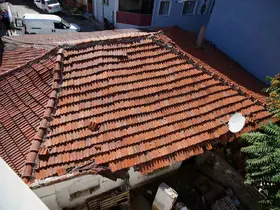 Edirne’de mahallede fare paniği
