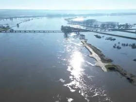 Edirne’de Meriç Nehri taştı, çok sayıda hobi bahçesi su altında kaldı
