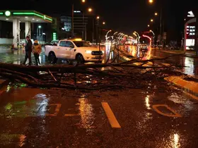 Edirne’de sağanak yağış ve rüzgar, ağacı devirdi
