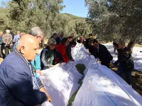 Edremit Körfezi’nin Altın Mirası İçin "3. Edremit Festolıve" başlıyor
