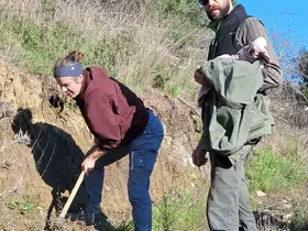Edremit’te Kazdağı Bal Ormanına uluslararası ilgi
