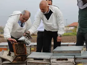 Elazığ arı kovanları incelendi
