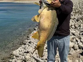 Elazığ’da 21 kiloluk dev sazan avlandı
